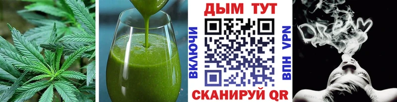 Купить где  Сосногорск  Canna-Cookies конопля 