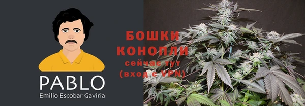 МДПВ Михайлов