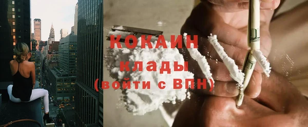 МДПВ Михайлов
