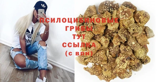 трава Михайловка