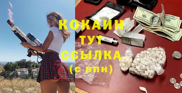 МДПВ Михайлов